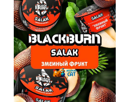 Табак BlackBurn Salak (Салак) 25г Акцизный Табак BlackBurn Salak (Салак) 25г Акцизный